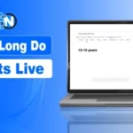 How Long Do Idiots Live